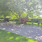 Casa Dos Avos Nyaraló